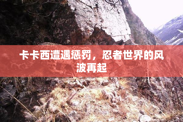 卡卡西遭遇惩罚，忍者世界的风波再起