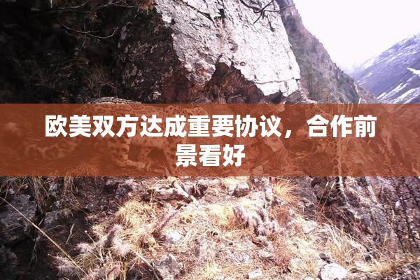 欧美双方达成重要协议，合作前景看好