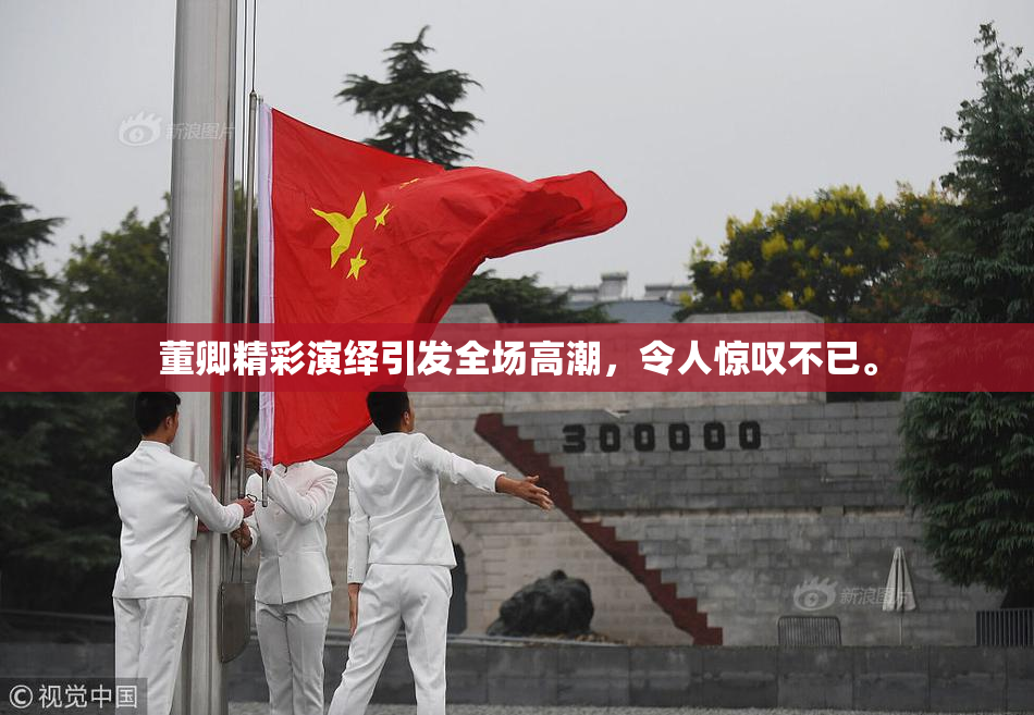 董卿精彩演绎引发全场高潮，令人惊叹不已。