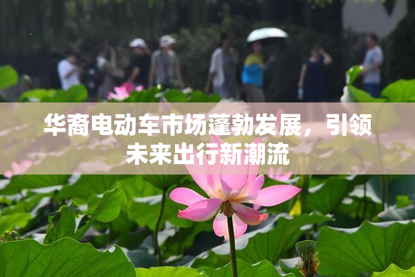 华裔电动车市场蓬勃发展，引领未来出行新潮流