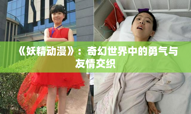 《妖精动漫》：奇幻世界中的勇气与友情交织