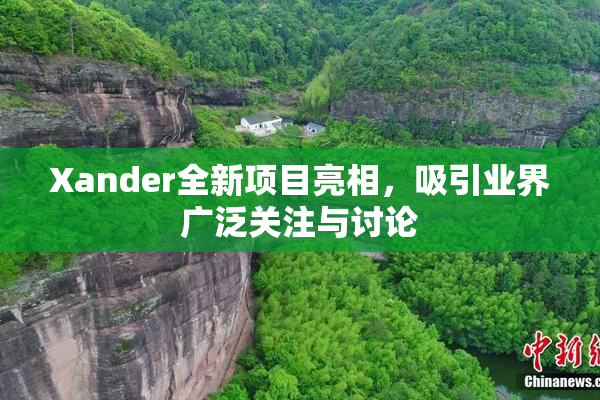 Xander全新项目亮相，吸引业界广泛关注与讨论