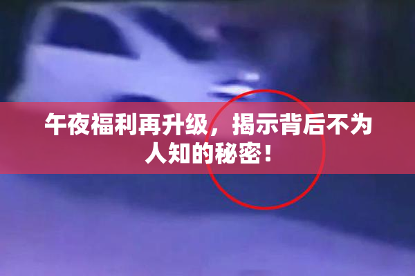 午夜福利再升级，揭示背后不为人知的秘密！
