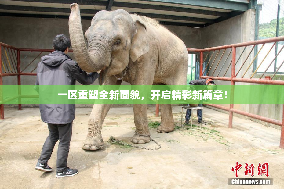 一区重塑全新面貌，开启精彩新篇章！