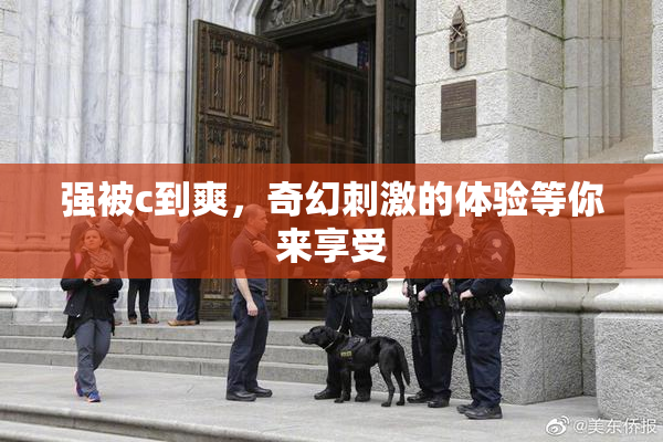 强被c到爽，奇幻刺激的体验等你来享受