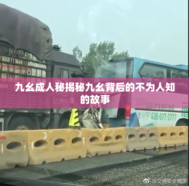九幺成人秘揭秘九幺背后的不为人知的故事