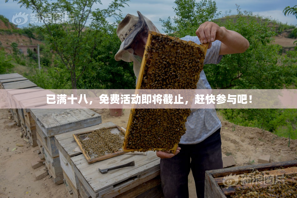已满十八，免费活动即将截止，赶快参与吧！