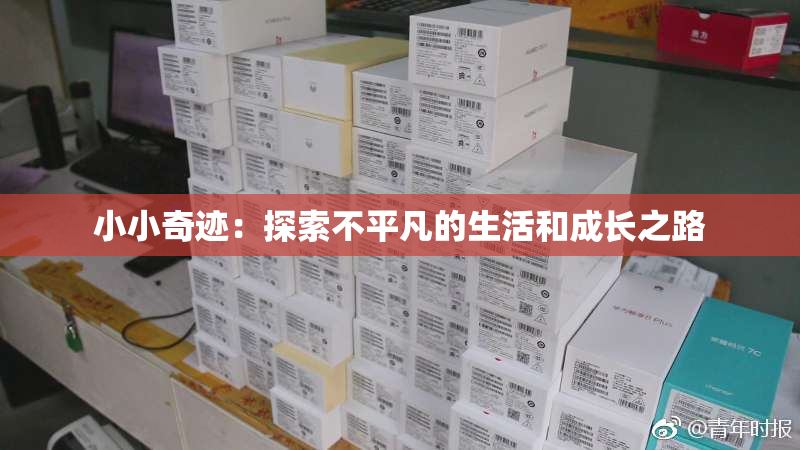 小小奇迹：探索不平凡的生活和成长之路