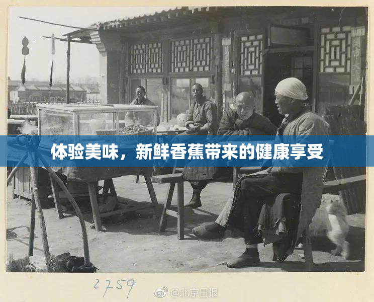 体验美味，新鲜香蕉带来的健康享受