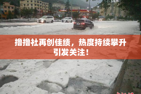 撸撸社再创佳绩，热度持续攀升引发关注！
