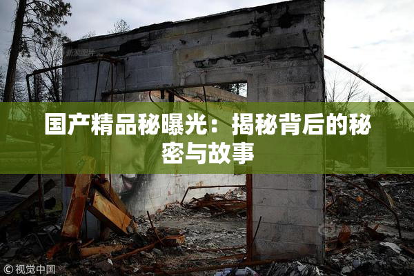 国产精品秘曝光：揭秘背后的秘密与故事
