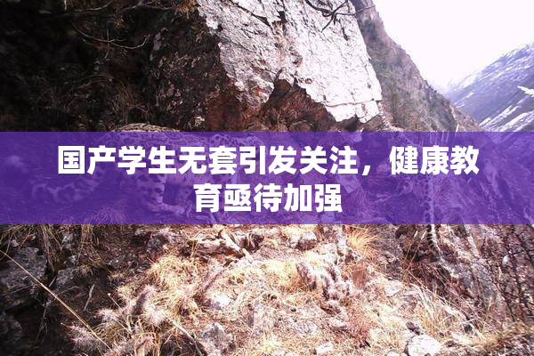 国产学生无套引发关注，健康教育亟待加强