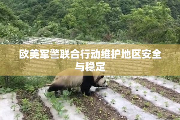欧美军警联合行动维护地区安全与稳定