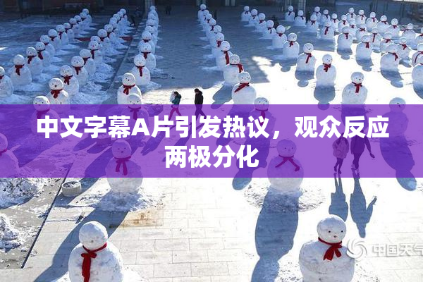 中文字幕A片引发热议，观众反应两极分化
