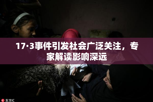17·3事件引发社会广泛关注，专家解读影响深远