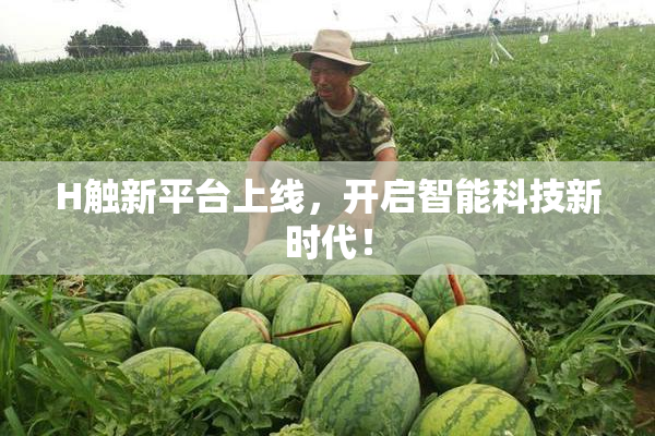 H触新平台上线，开启智能科技新时代！