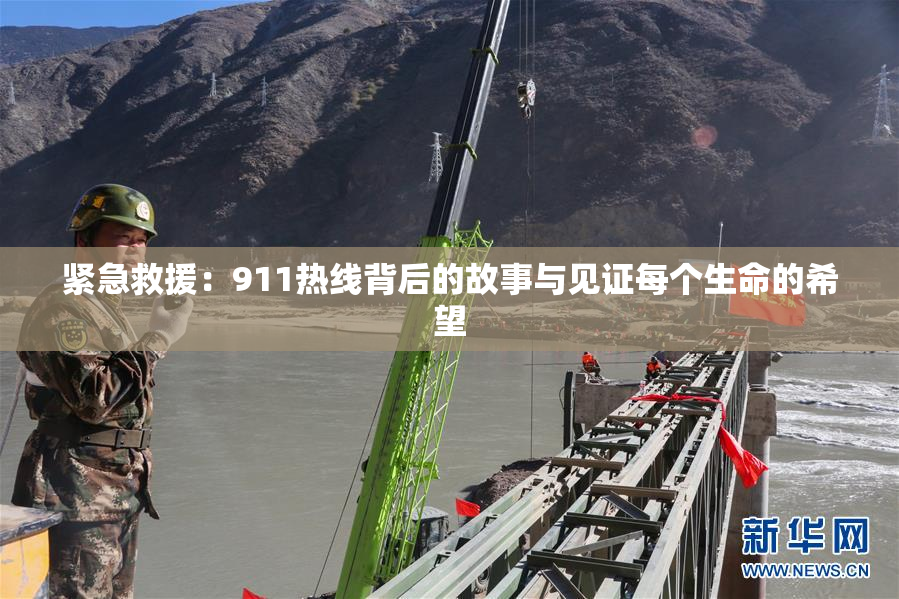 紧急救援：911热线背后的故事与见证每个生命的希望