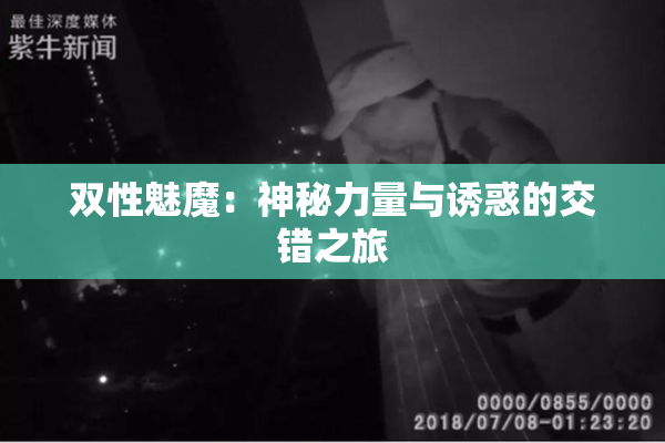 双性魅魔：神秘力量与诱惑的交错之旅