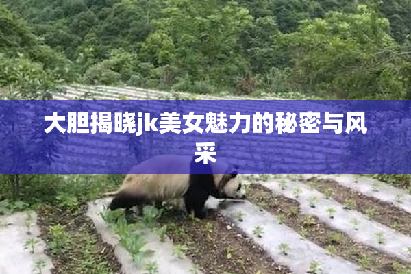 大胆揭晓jk美女魅力的秘密与风采