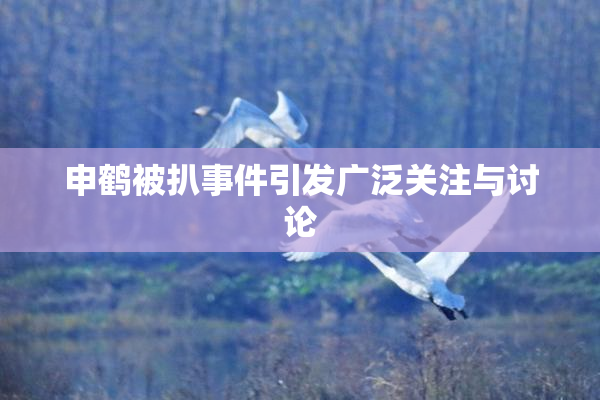 申鹤被扒事件引发广泛关注与讨论