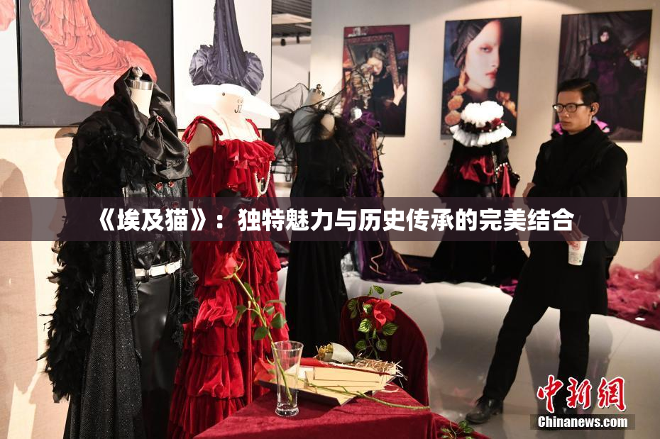 《埃及猫》：独特魅力与历史传承的完美结合