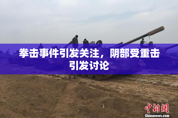 拳击事件引发关注，阴部受重击引发讨论