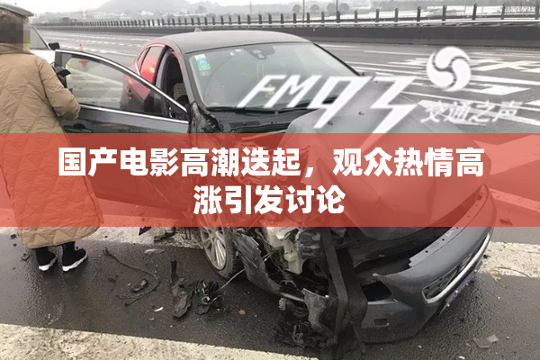 国产电影高潮迭起，观众热情高涨引发讨论