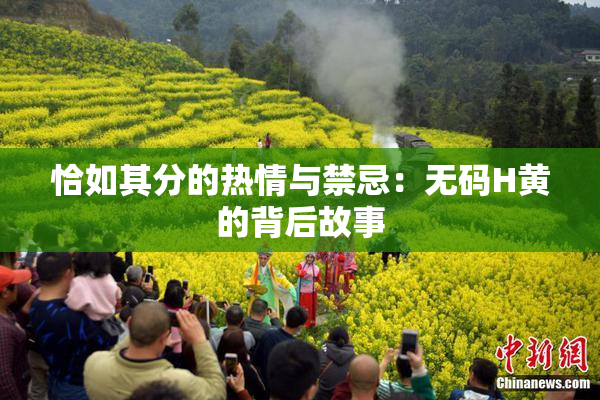 恰如其分的热情与禁忌：无码H黄的背后故事