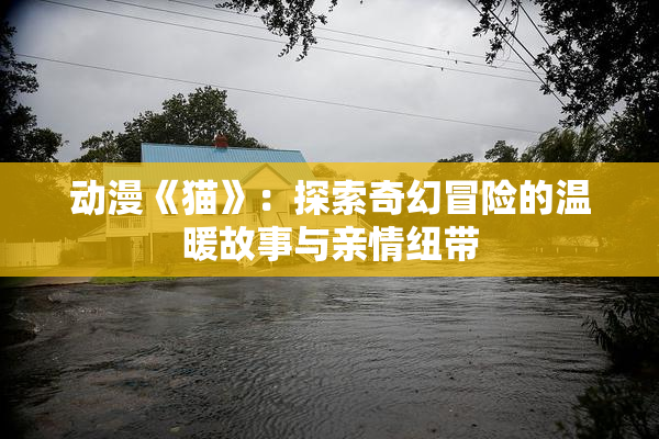 动漫《猫》：探索奇幻冒险的温暖故事与亲情纽带