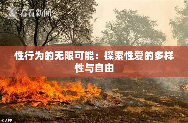 性行为的无限可能：探索性爱的多样性与自由