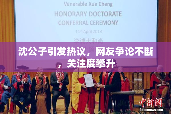 沈公子引发热议，网友争论不断，关注度攀升