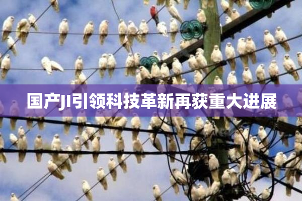 国产JI引领科技革新再获重大进展