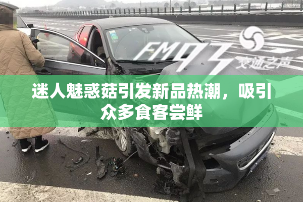 迷人魅惑菇引发新品热潮，吸引众多食客尝鲜