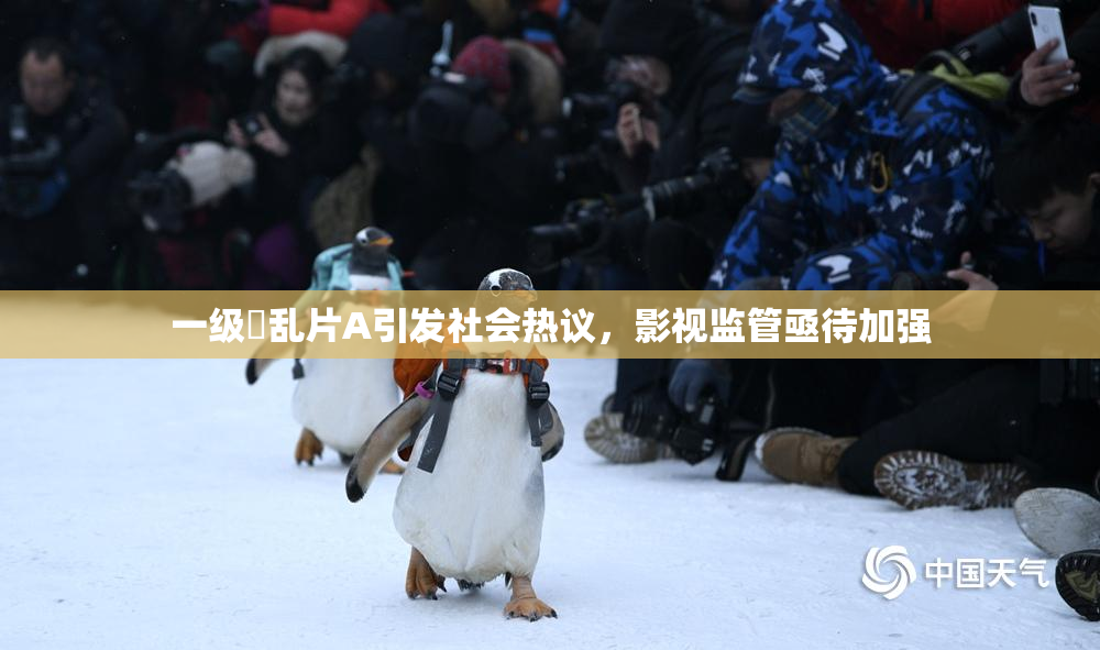 一级婬乱片A引发社会热议，影视监管亟待加强