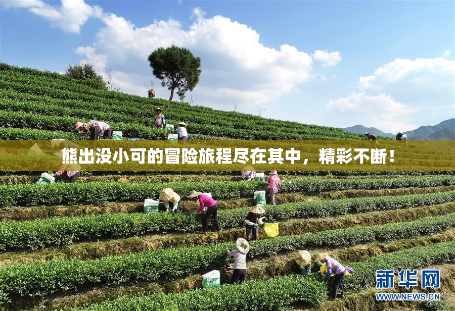 熊出没小可的冒险旅程尽在其中，精彩不断！