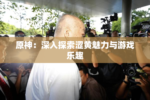原神：深入探索涩黄魅力与游戏乐趣