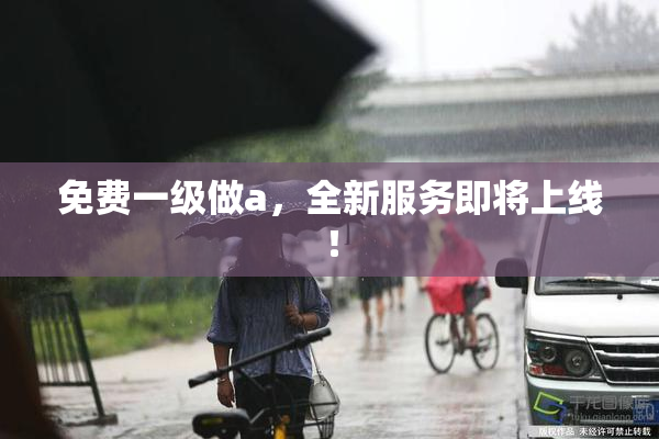 免费一级做a，全新服务即将上线！