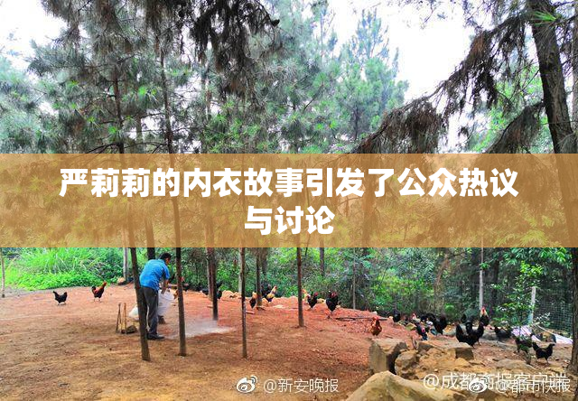 严莉莉的内衣故事引发了公众热议与讨论