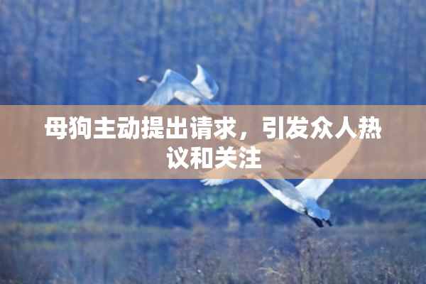 母狗主动提出请求，引发众人热议和关注
