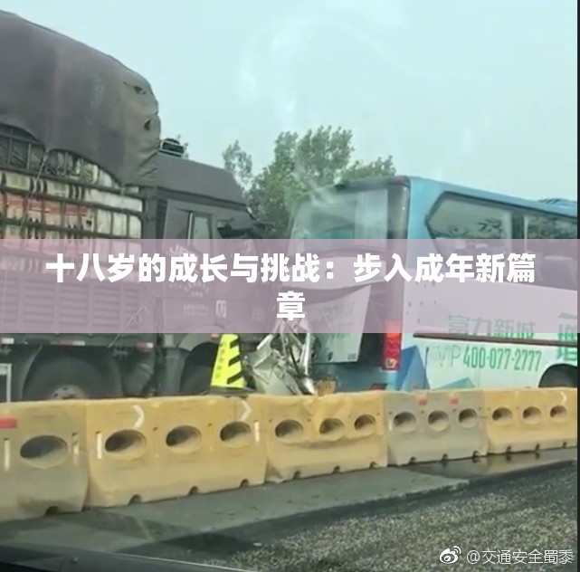 十八岁的成长与挑战：步入成年新篇章