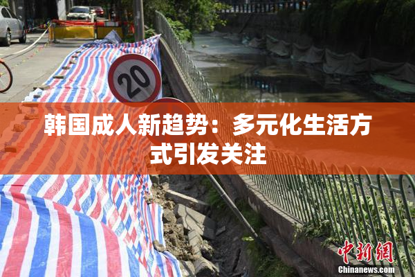 韩国成人新趋势：多元化生活方式引发关注