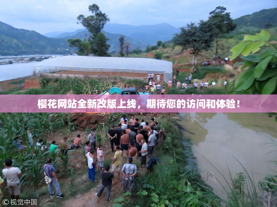 樱花网站全新改版上线，期待您的访问和体验！
