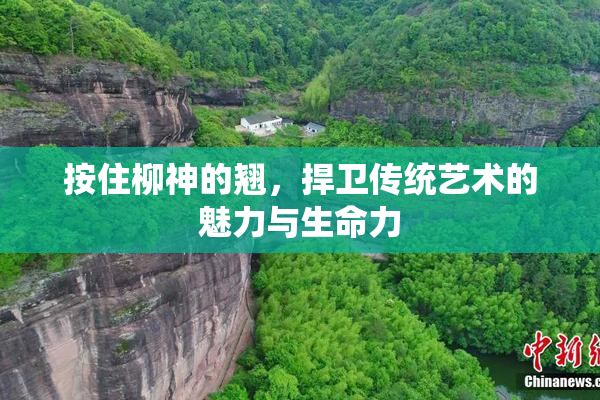 按住柳神的翘，捍卫传统艺术的魅力与生命力