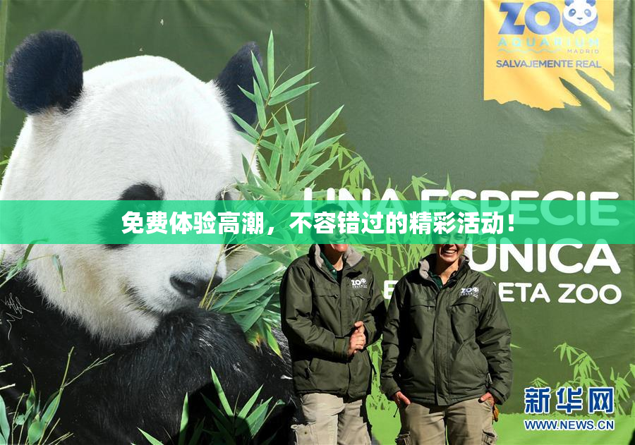 免费体验高潮，不容错过的精彩活动！