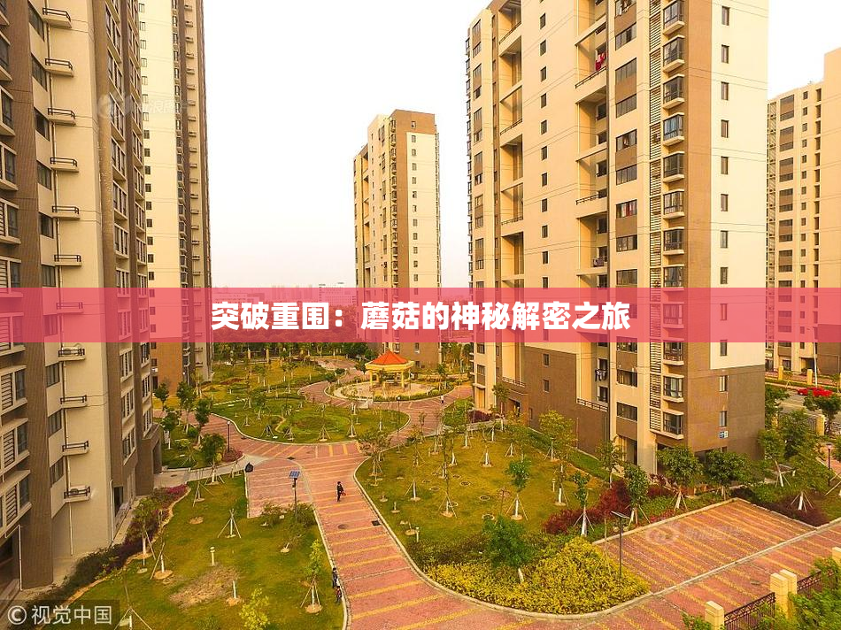 突破重围：蘑菇的神秘解密之旅