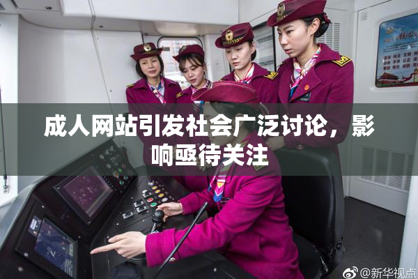 成人网站引发社会广泛讨论，影响亟待关注