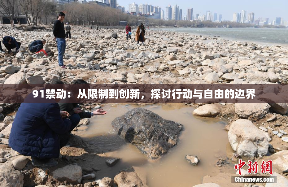 91禁动：从限制到创新，探讨行动与自由的边界