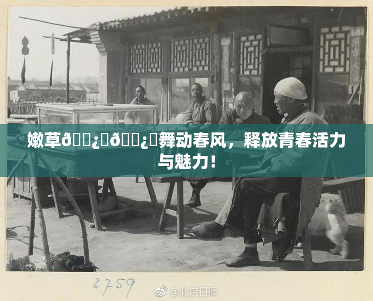 嫩草🌿‌🌿‌舞动春风，释放青春活力与魅力！