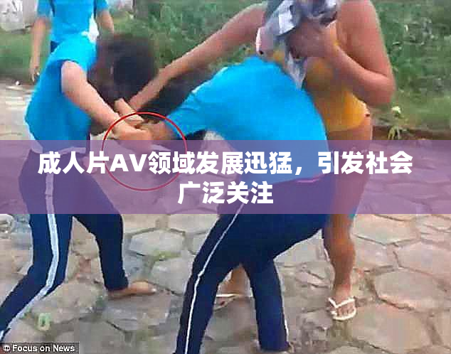 成人片AV领域发展迅猛，引发社会广泛关注