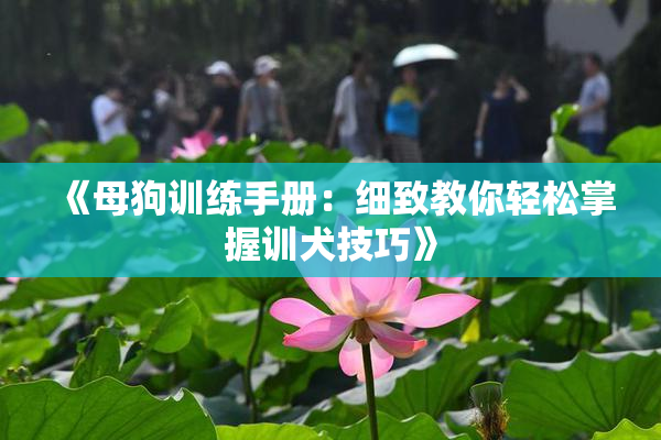 《母狗训练手册：细致教你轻松掌握训犬技巧》